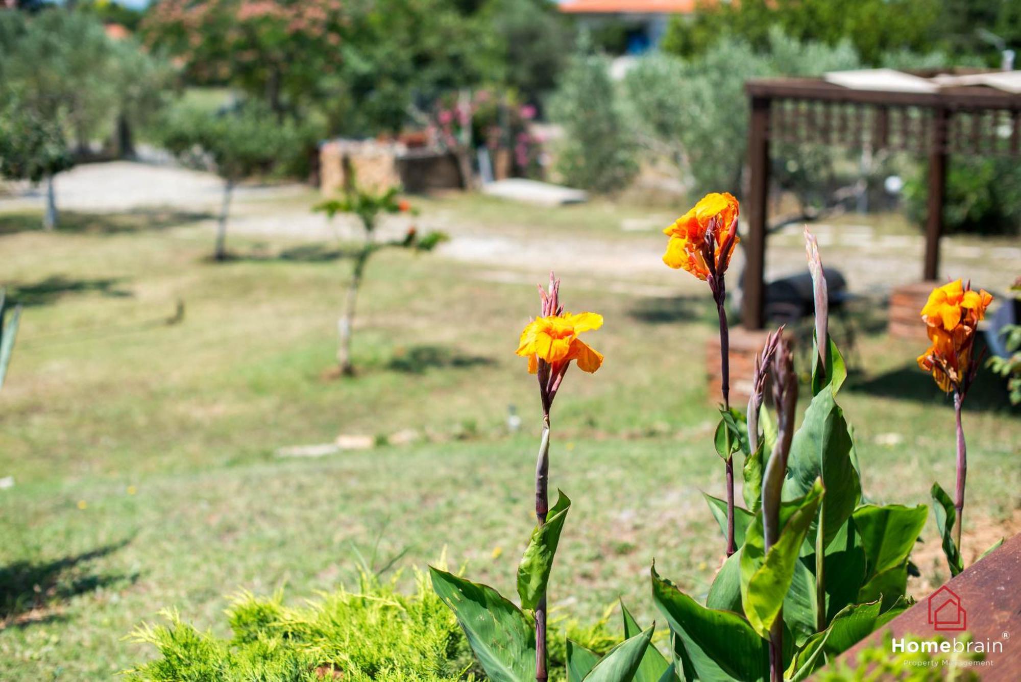 Villa Rossa Mesimvria  エクステリア 写真
